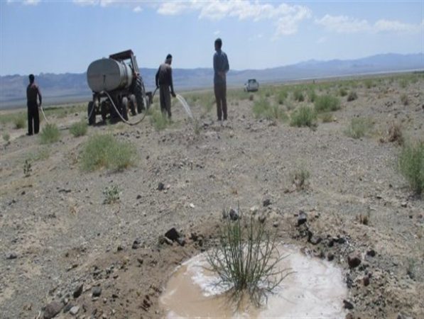 آغاز آبیاری پروژه بیابان‌زدایی کانون بحران فرسایش بادی در خلیل آباد