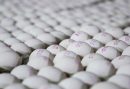 کشف و معدوم سازی ۶۳ کیلوگرم تخم مرغ غیر قابل مصرف در کاشمر
