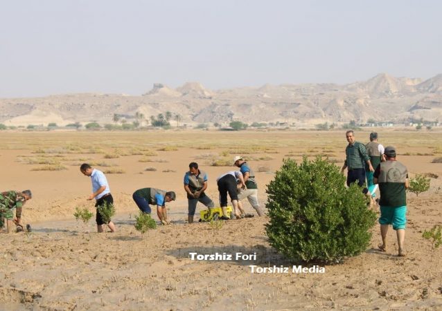 کاشت ۴۰۰ اصله نهال در خلیل آباد