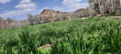 هر روستای شهرستان کوهسرخ می‌تواند یک جاذبه گردشگری باشد